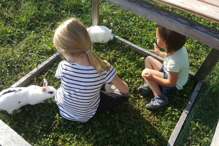 Erlebniszeit mit Natur und Tier auf dem Pappelhof