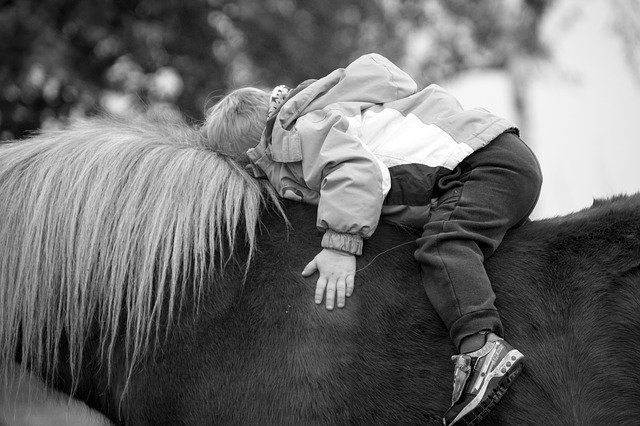 tiergestützte Aktivitäten mit unseren Tieren am Pappelhof